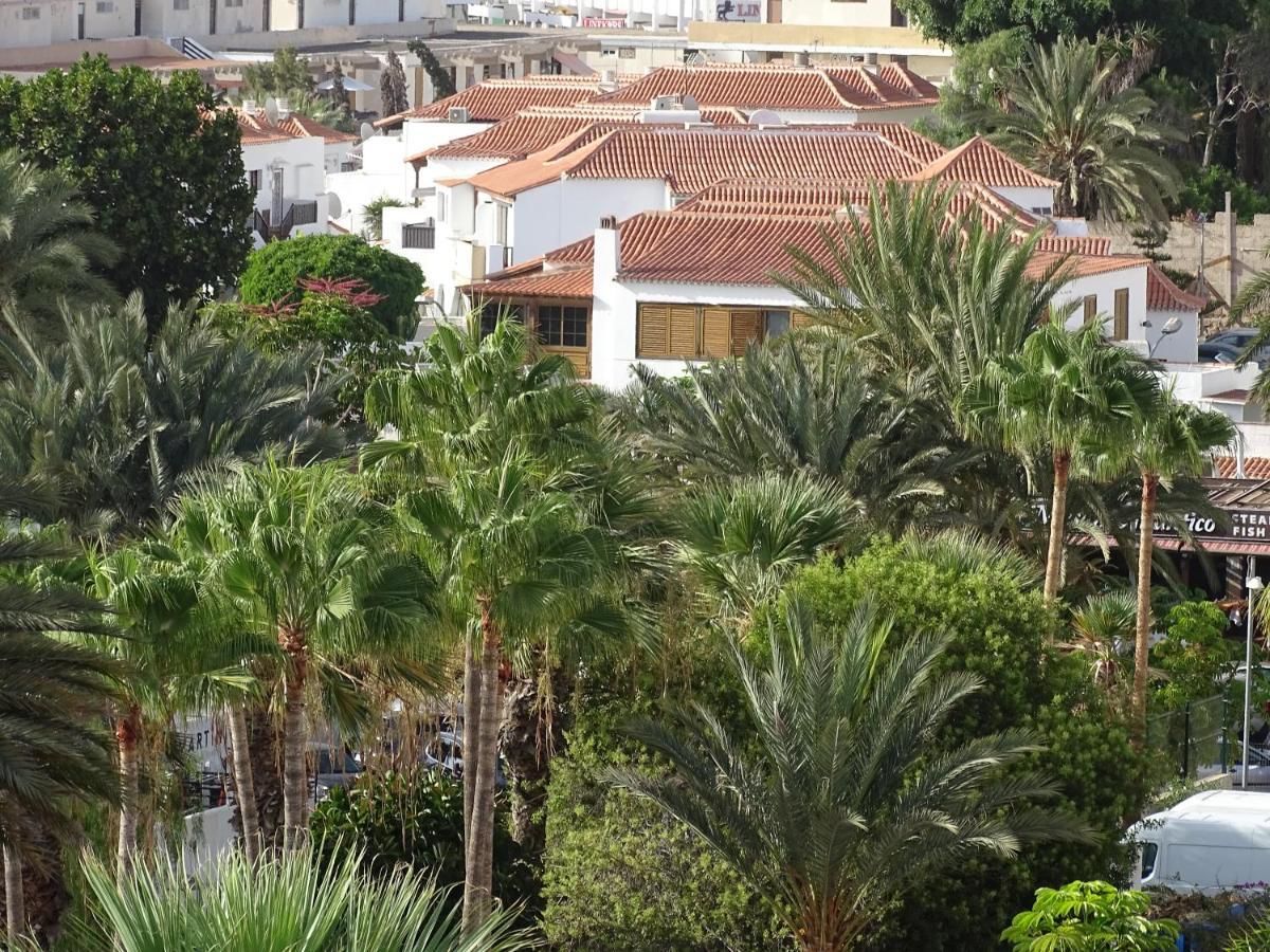 Las Americas Luxury Low-Cost Apartment With Terrace & Views ปลายาเดลาสอเมริกาส ภายนอก รูปภาพ
