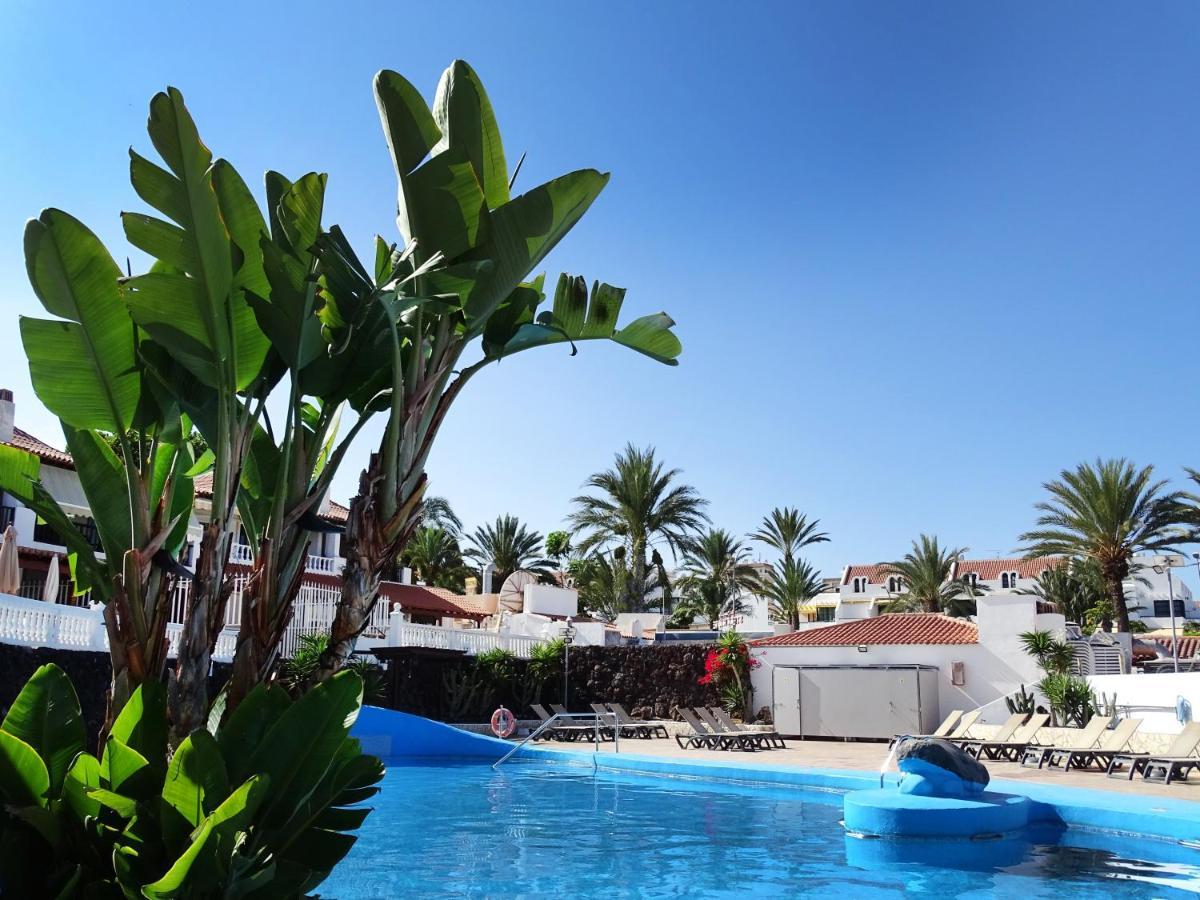 Las Americas Luxury Low-Cost Apartment With Terrace & Views ปลายาเดลาสอเมริกาส ภายนอก รูปภาพ